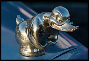 rubber duck hood ornament canvas