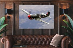 p 40 curtiss Single canvas rectangle