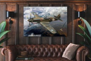 p 40 curtiss Single canvas rectangle