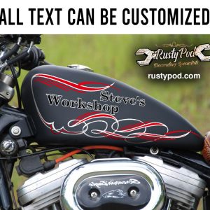 JRwraps Pinstripe Decals – Gold/Silver, 210x110mm – Car Motorcycle Tank Chopper