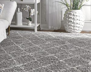 Versatility and Beauty of Rugs